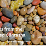 Stones from the Riverbed Clintasha