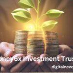 Money6x Investment Trusts